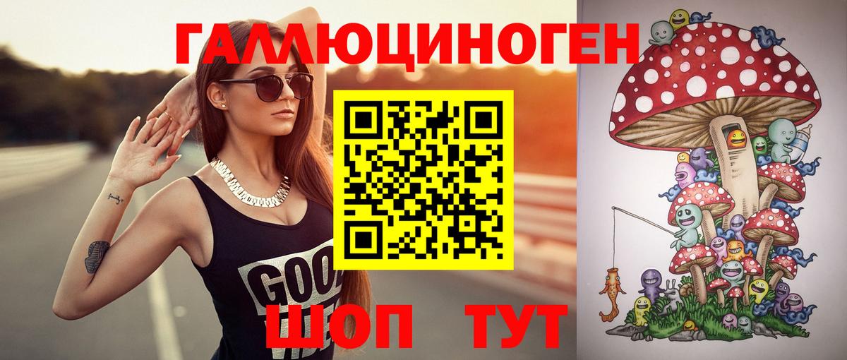 Псилоцибиновые грибы Psilocybe  Вход с VPN  Дубна  Галлюциногенные грибы прущие грибы 